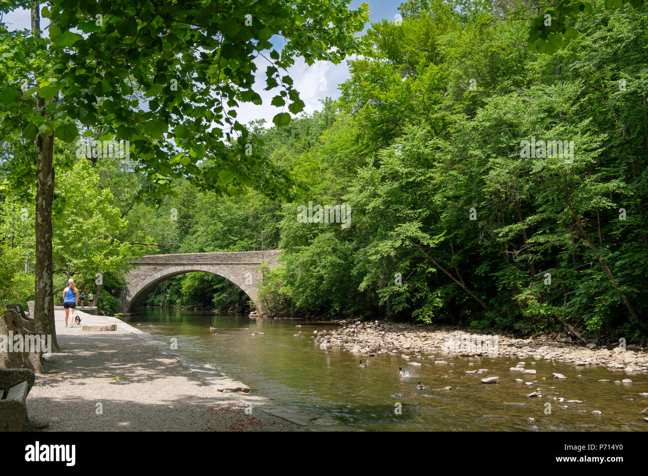Wissahickon River and Stone Bridge off Forbidden Drive in Northwest