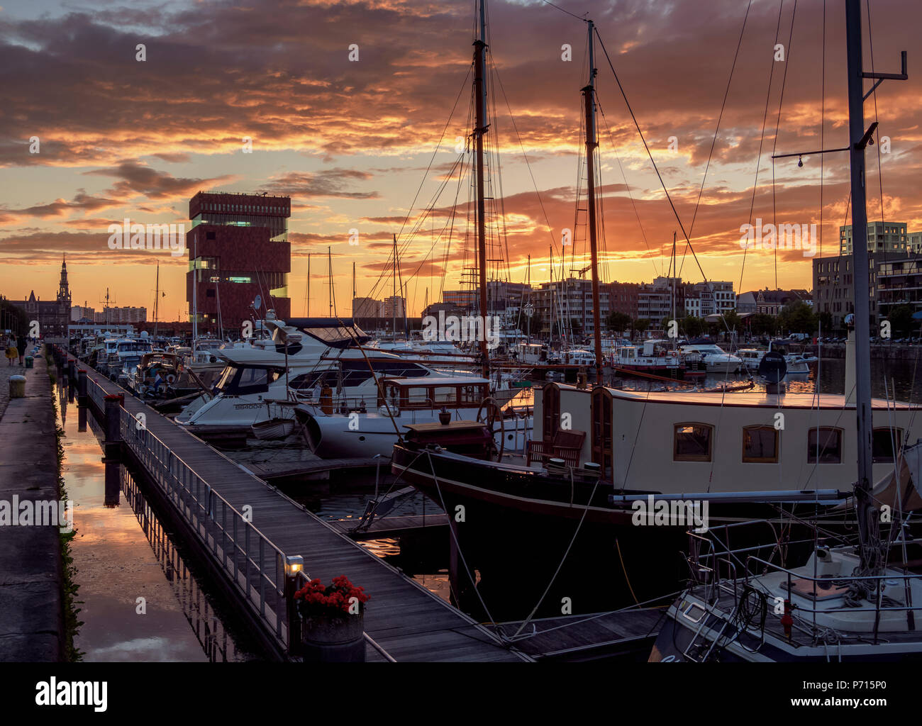 Bonapartedok at sunset, Antwerp, Belgium, Europe Stock Photo Alamy