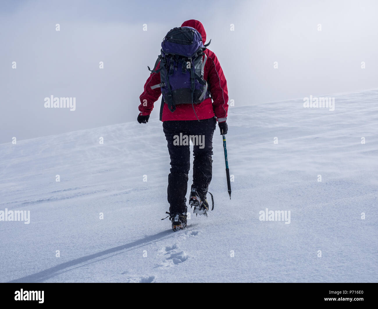 A female mountaineer crossing the snow fields in winter in the Cairngorm National Park, Scotland, United Kingdom, Europe Stock Photo