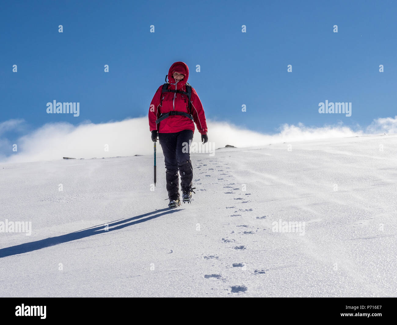 Female winter walker descending a fresh snowy slope in the Cairngorm National Park, Scotland, United Kingdom, Europe Stock Photo