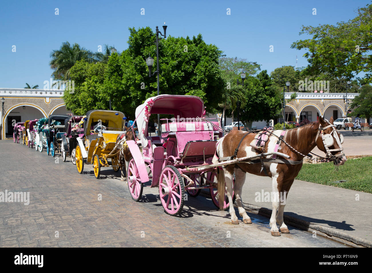 Tourist Horse Carts, Izamal, Yucatan, Mexico, North America Stock Photo