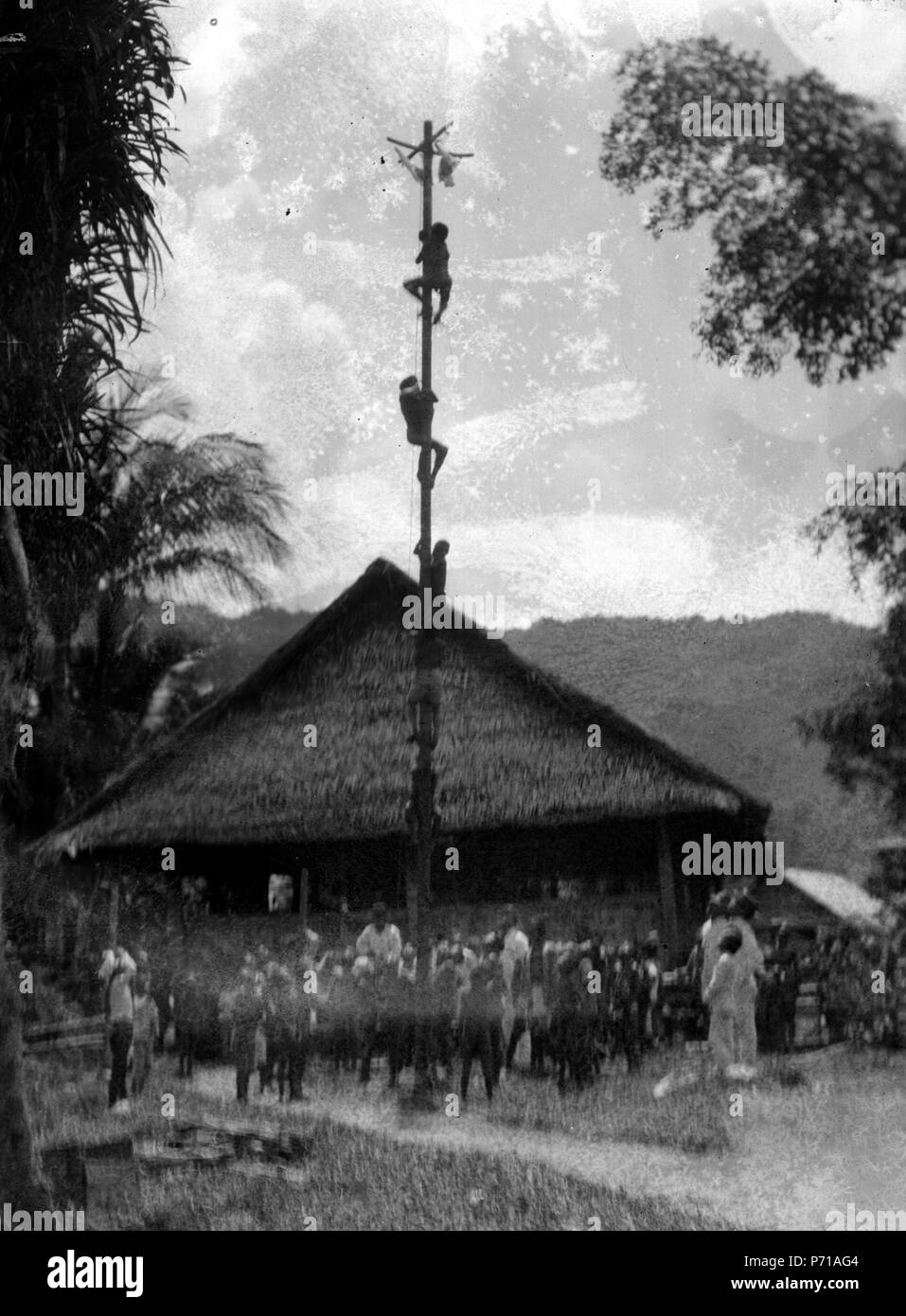 51 Skolbarnen få klättra på såpad stång. Kulawi, Sulawesi. Indonesien - SMVK - 022138 Stock Photo