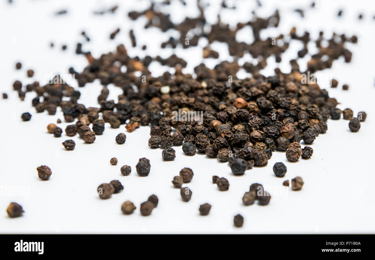 Peppercorn or Black pepper in white background Stock Photo Alamy