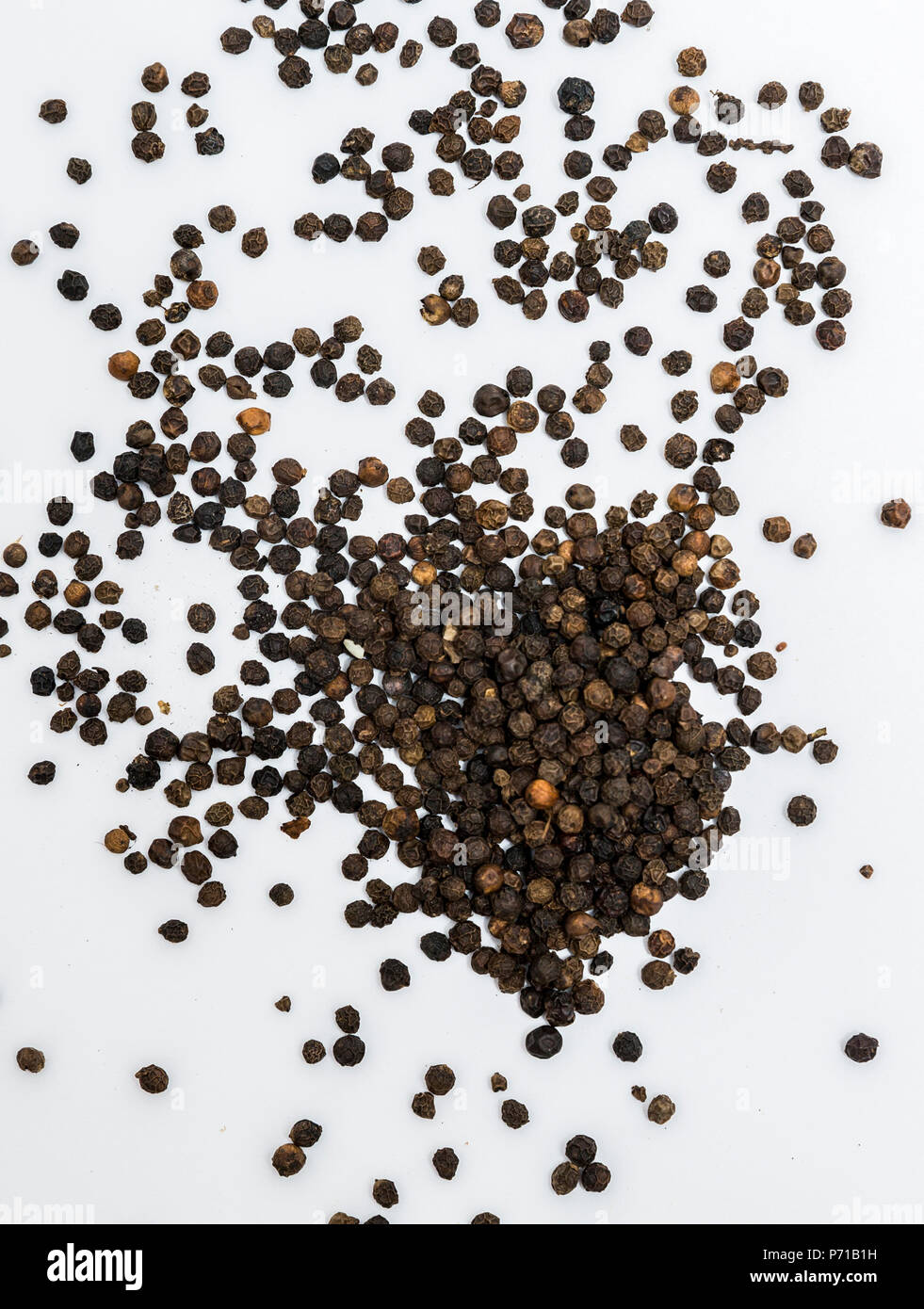 Peppercorn or Black pepper in white background Stock Photo Alamy