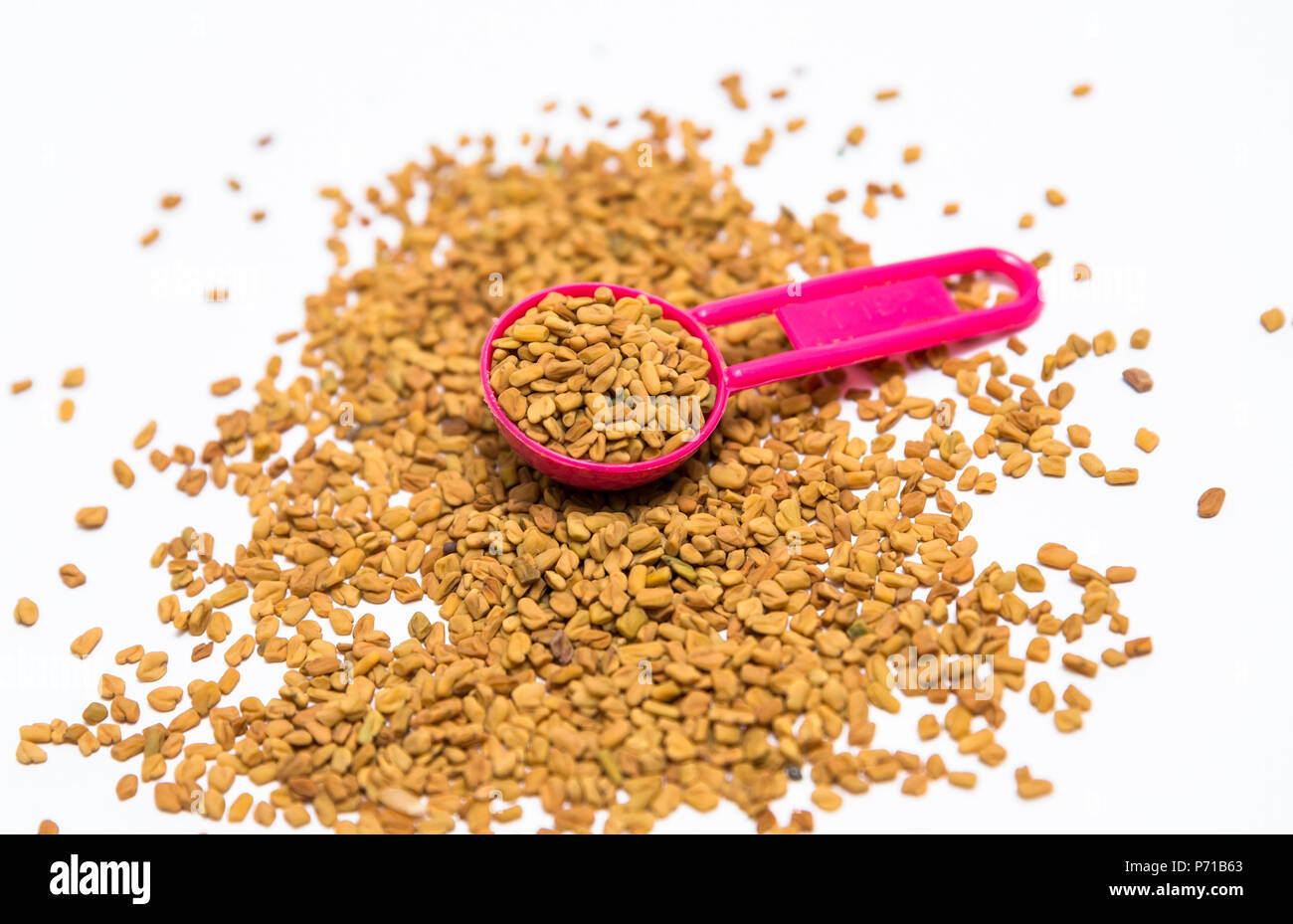 Fenugreek seeds in white background Stock Photo Alamy
