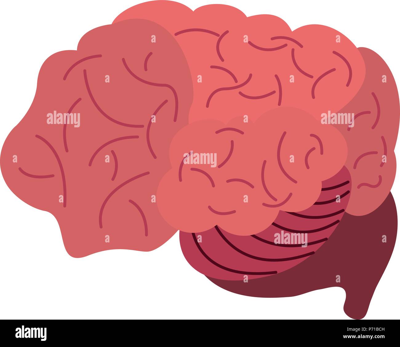 Human brain cartoon Stock Vector Image & Art - Alamy