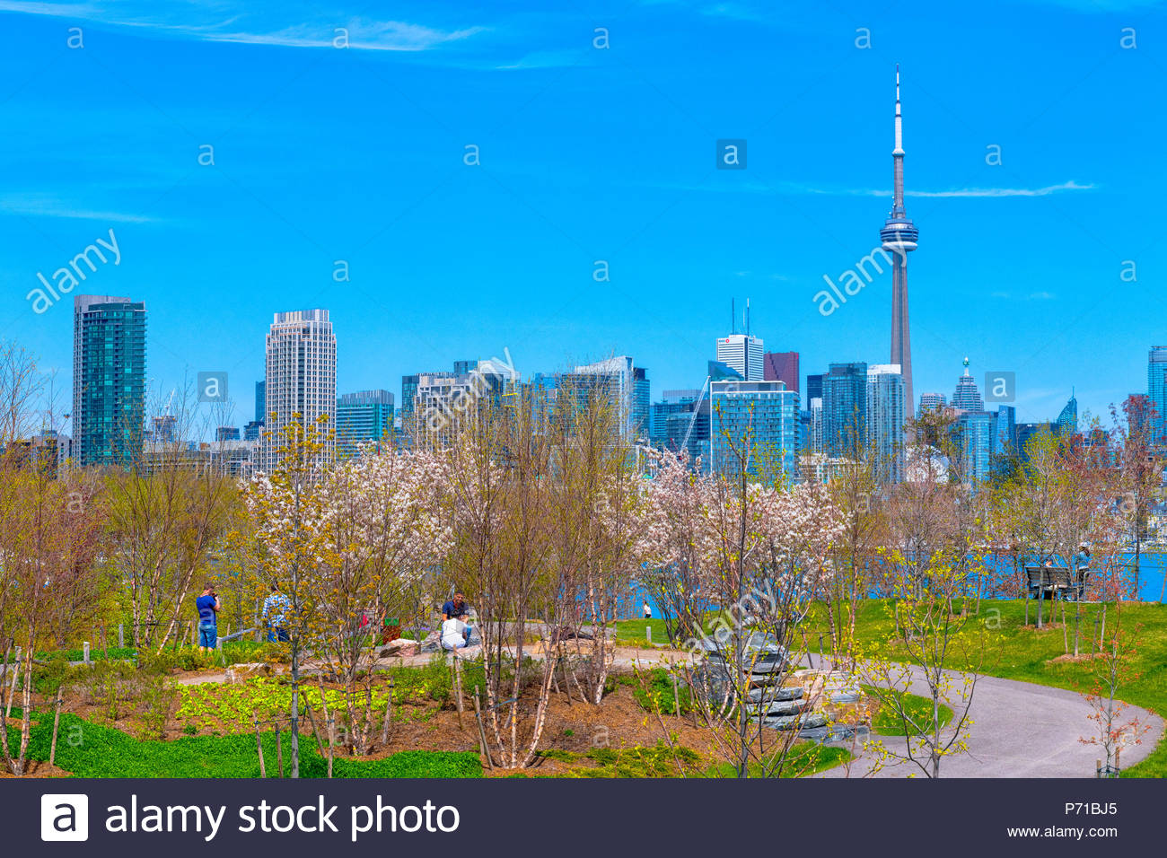 Toronto Canada Skyline Of The Capital City Of The Province Of