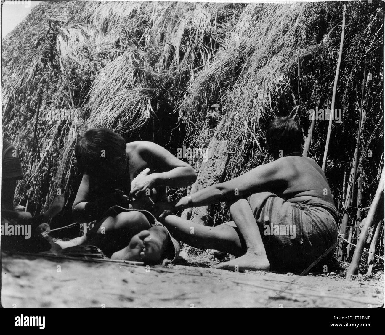 Gran Chaco - SMVK - 004802 - P71BNP from Alamy&x27;s library of millio...