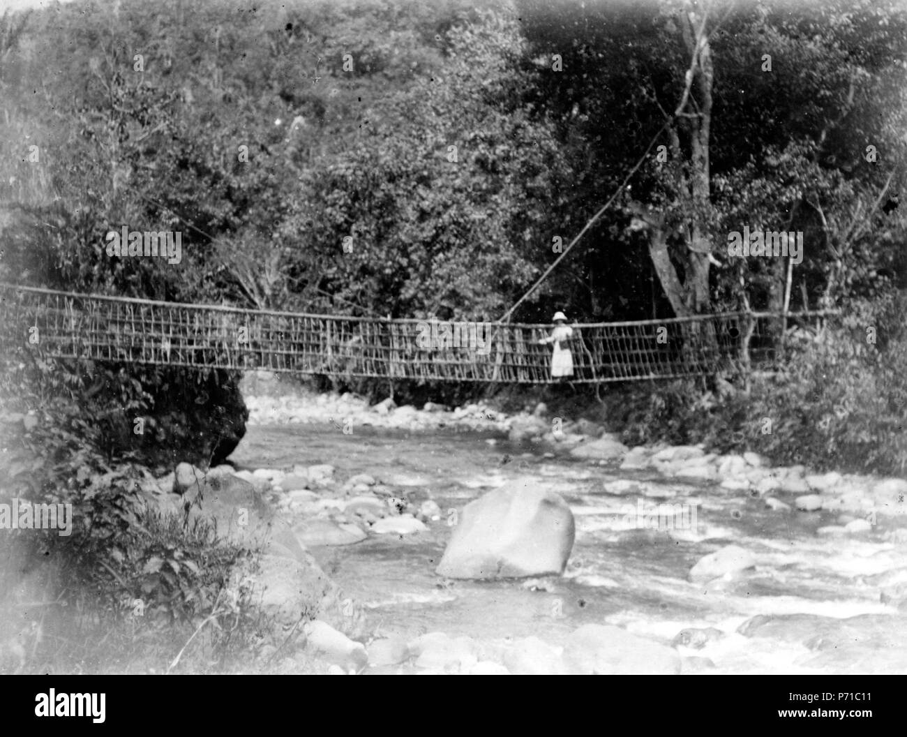50 Rottingbro över Makoe, nedanför byn Peana. Peana, Sulawesi. Indonesien - SMVK - 000164 Stock Photo