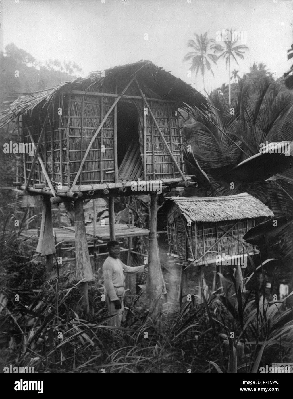 49 Risbodar. Nordöstra Celebes. Sulawesi, Kecamatan Lamala. Indonesien - SMVK - 000355 Stock Photo