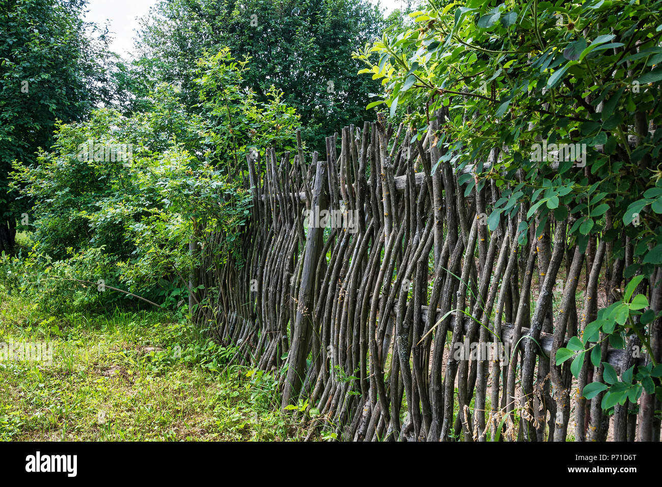 Wattle Rods Rural life. Wattle - wicker hedge from branches and rods Stock Photo ...