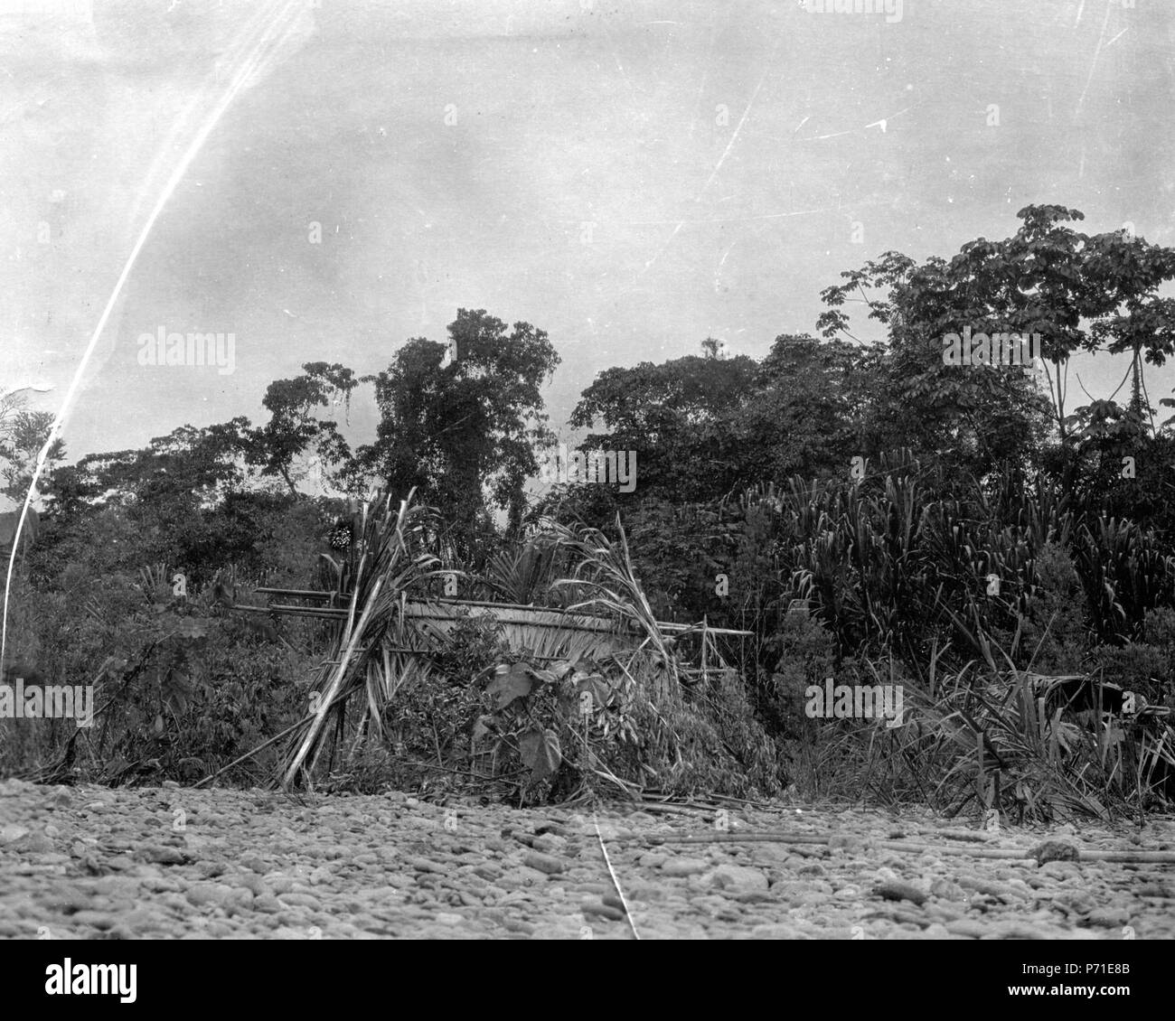 142 Hydda vid floden. Hyddan av pilgräs. Madre de Dios. Peru - SMVK - 002437 Stock Photo