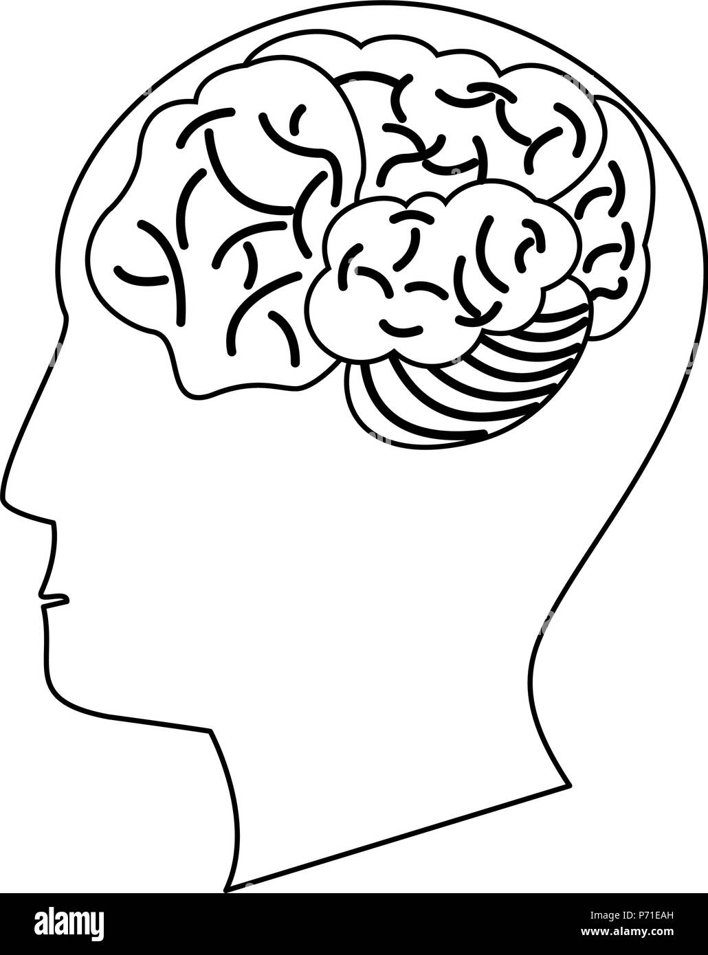 Human brain on head in black and white Stock Vector Image & Art - Alamy