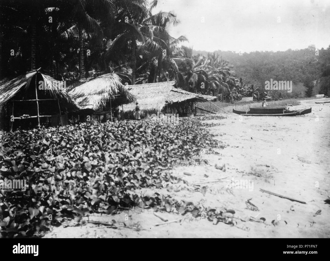 52 Strandparti med hyddor, båtar, kokospalmer (batater ). Kabupaten Bolaang Mongondow, Sulawesi - SMVK - 010677 Stock Photo