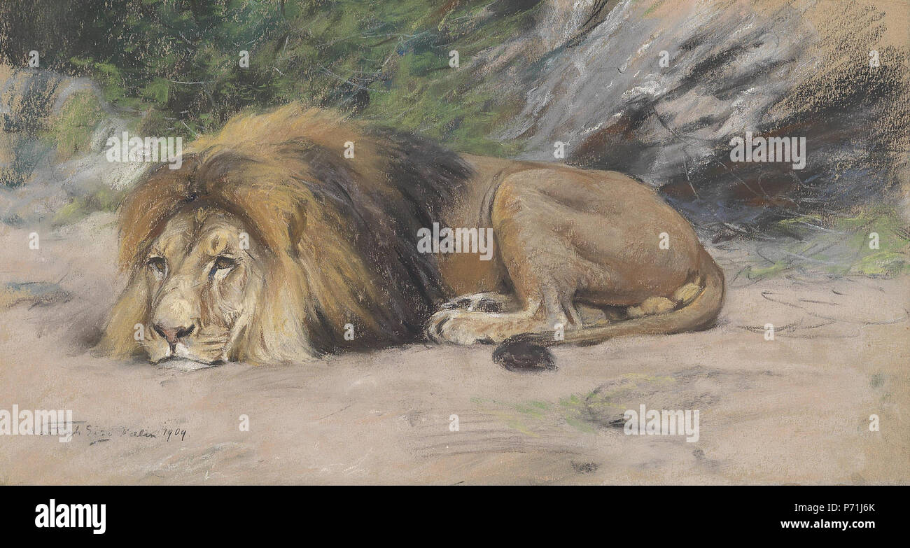 Reclining lions hi-res stock photography and images - Alamy