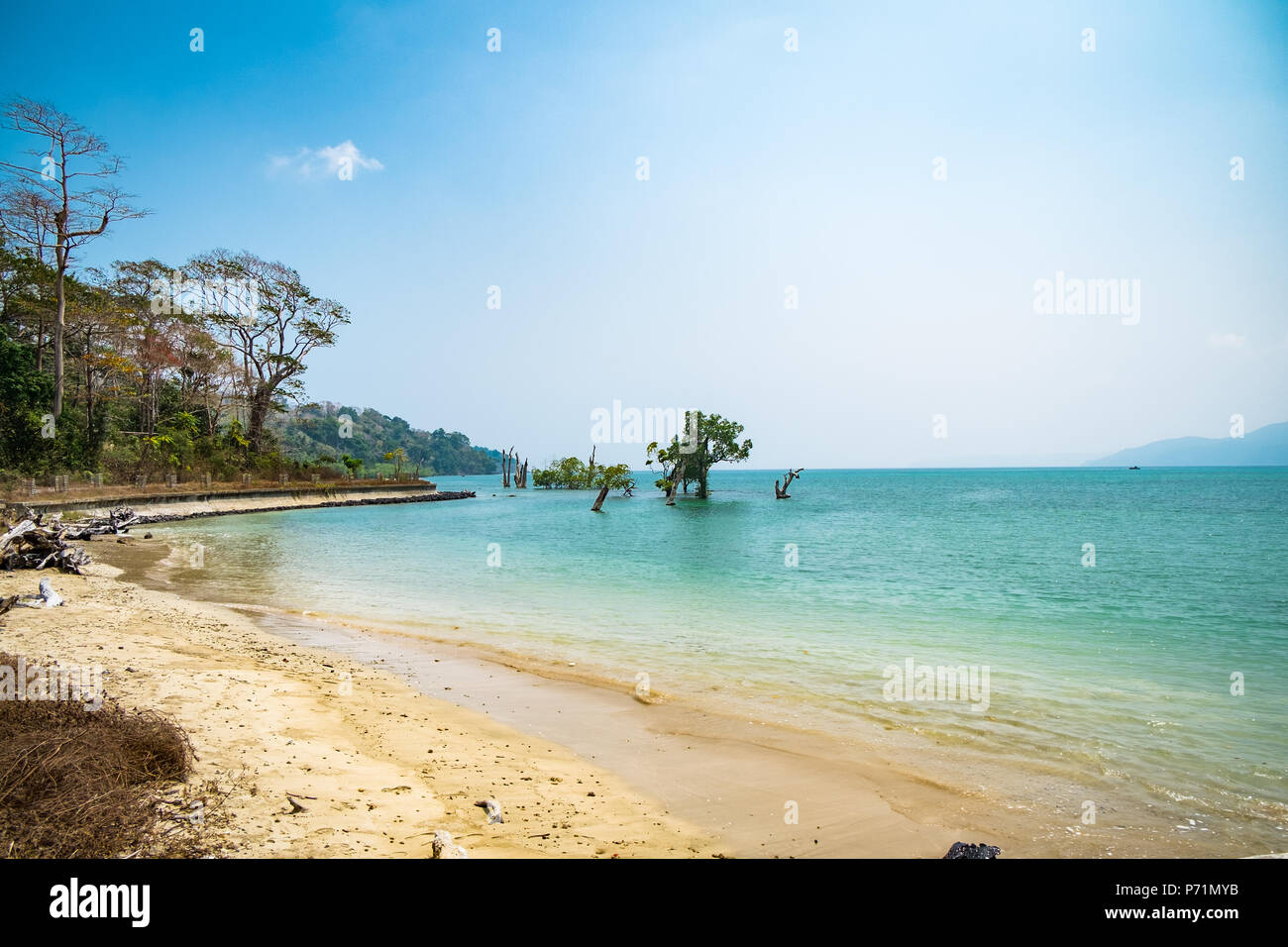 Beach at Andaman and Nicobar Island Stock Photo