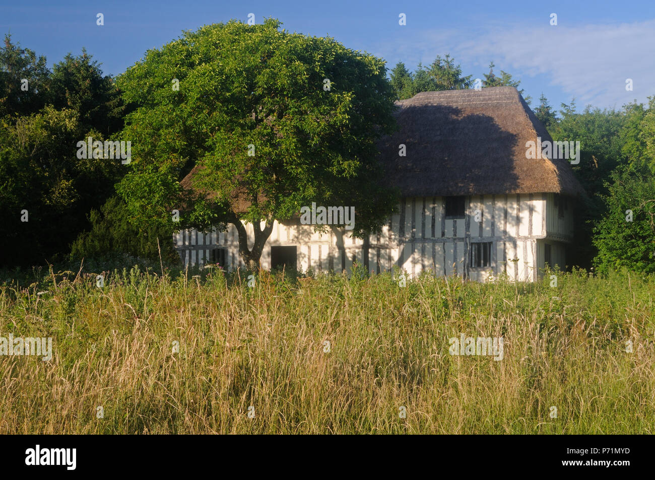 Purton Green Farmhouse, a Landmark Trust property containing the substantial remains of a late 13th c. aisled hall, at Purton Green, Suffolk, England Stock Photo