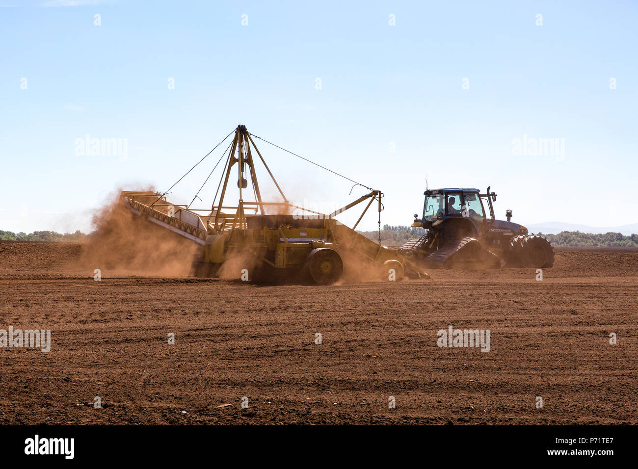 Agricultural tractor with harvester stockpiling loose milled peat