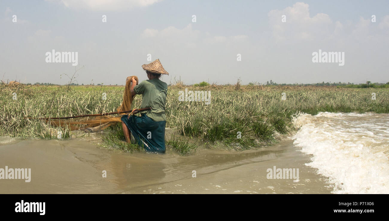 Fisherwoman was capturing fishes in the side of river, Mrauk u Myanmar Stock Photo