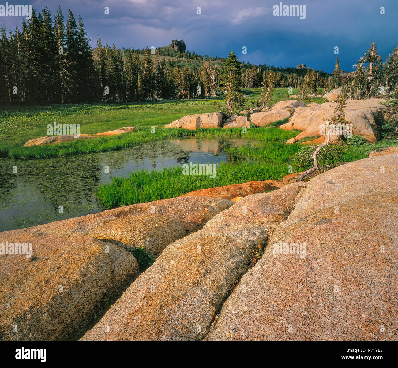 Granite, Horse Meadow, Emigrant Wilderness, Stanislaus National Forest, Sierra Nevada Mountains, California Stock Photo
