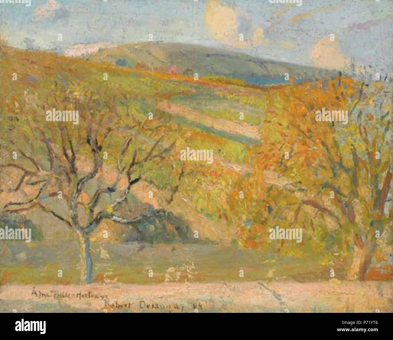 Mountain Landscape . English: Paysage montagneux, signed, dated and  dedicated A ma Petite Hortense Robert Delaunay 04, oil on canvas, 32.5 x  40.5 cm . 1904 49 Robert Delaunay Paysage montagneux 1904 Stock Photo -  Alamy