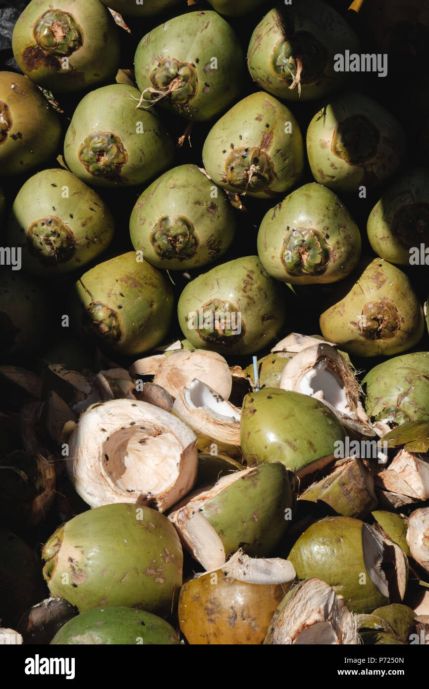 fresh green unpeeled coconuts with flies crawling on othem Stock Photo