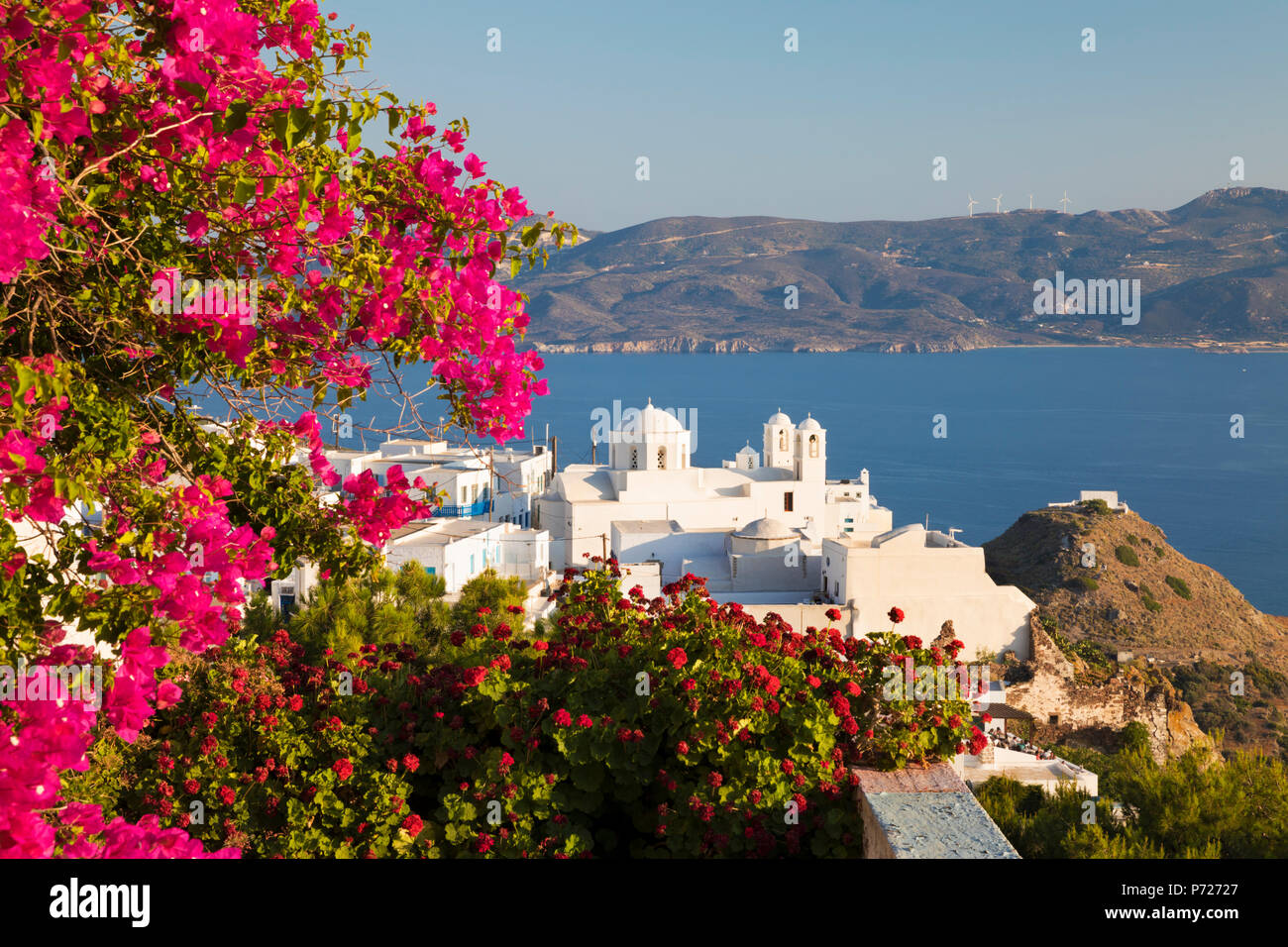 White old town of Plaka and Milos Bay with colourful bougainvillea, Plaka, Milos, Cyclades, Aegean Sea, Greek Islands, Greece, Europe Stock Photo