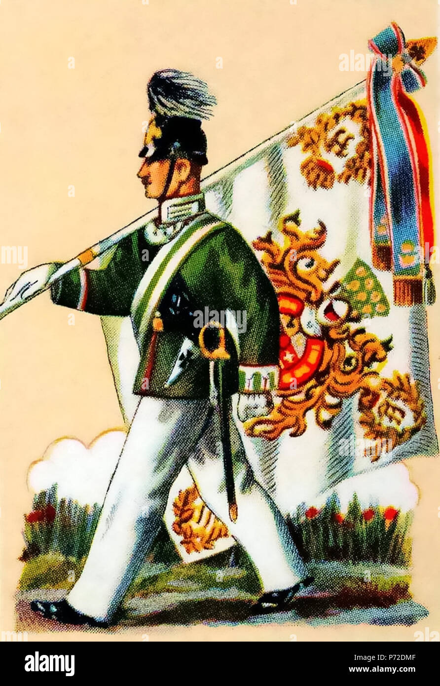11 Jäger-Bataillon Nr. 14 Fahne 1904 Album Stock Photo