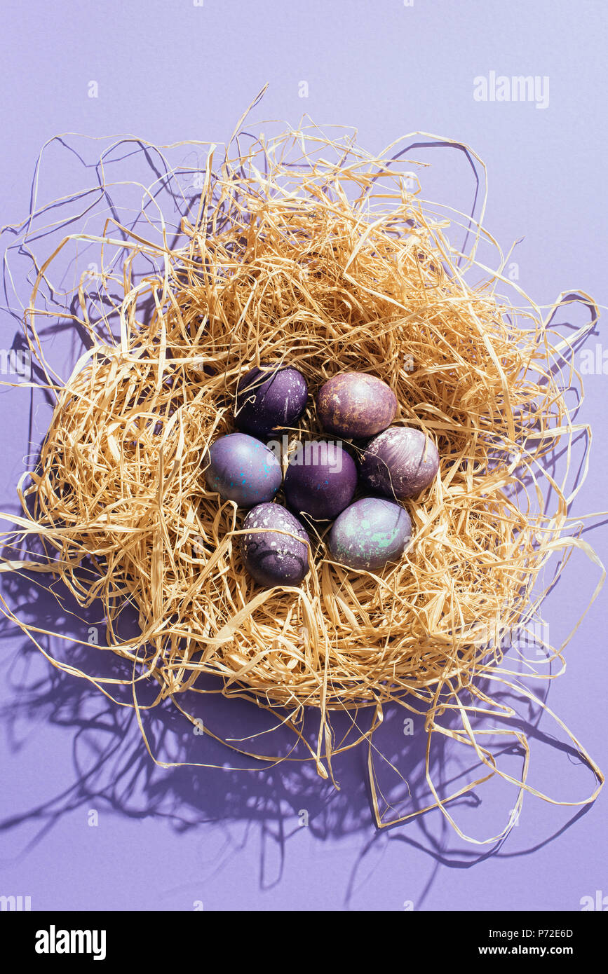 top view of purple easter eggs in straw nest in purple background Stock ...