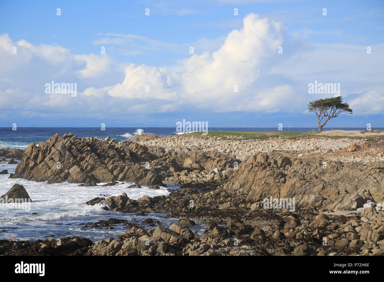 Rocky coastline and Monterey cypress tree, 17 Mile Drive, Pebble Beach, Monterey Peninsula, Pacific Ocean, California, United States of America Stock Photo