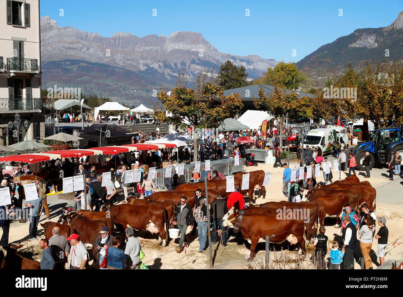 The agricultural fair (Comice Agricole) of Saint-Gervais-les-Bains, Haute-Savoie, France, Europe Stock Photo