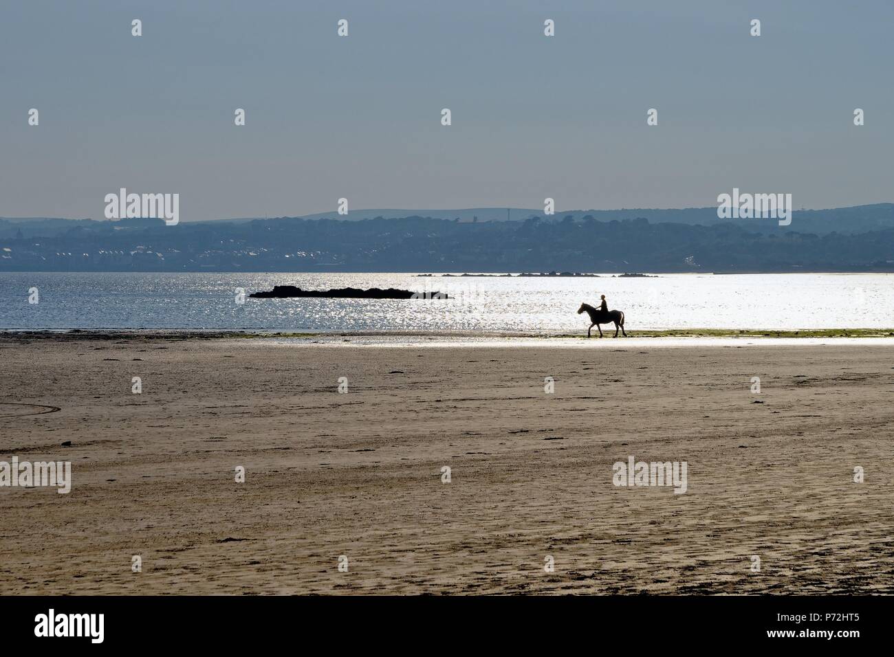 Horse rider on the beach in silhouette on the shoreline at Marazion Cornwall England UK Stock Photo