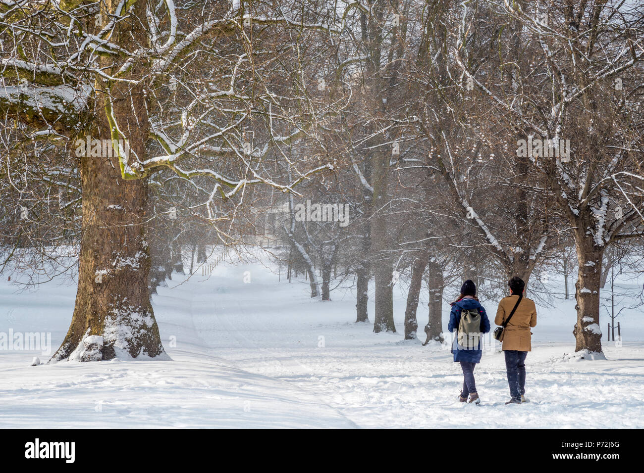 Green Park in the snow, London, England, United Kingdom, Europe Stock Photo
