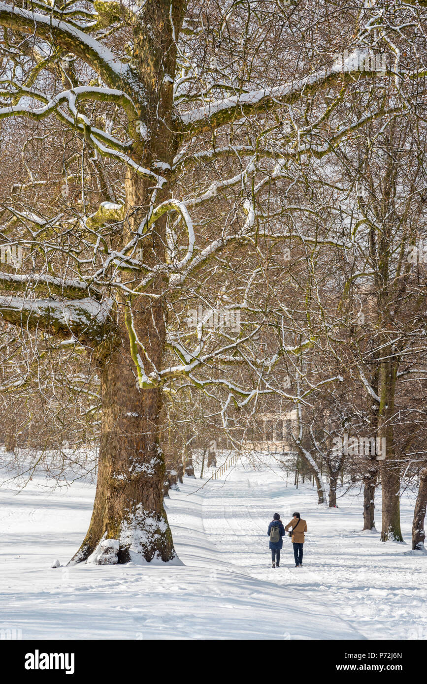 Green Park in the snow, London, England, United Kingdom, Europe Stock Photo