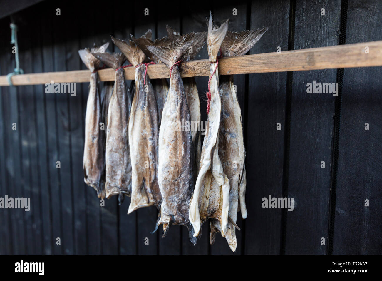 Stockfish imagem de stock. Imagem de escandinavo, pesca - 29769101