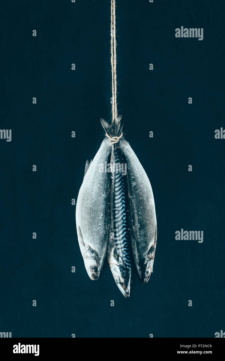 closeup view of uncooked mackerel fish hanging on rope isolated on black Stock Photo Alamy