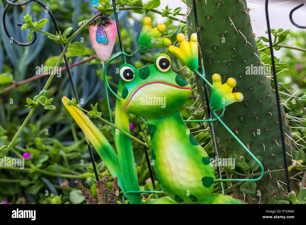 Whimsical Garden Art Decoration - Green and Yellow Frog Stock Photo