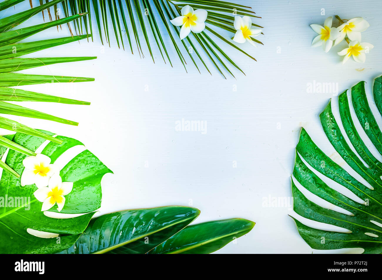 Summer flat lay frame with tropical leaves and flowers frame on gray ...
