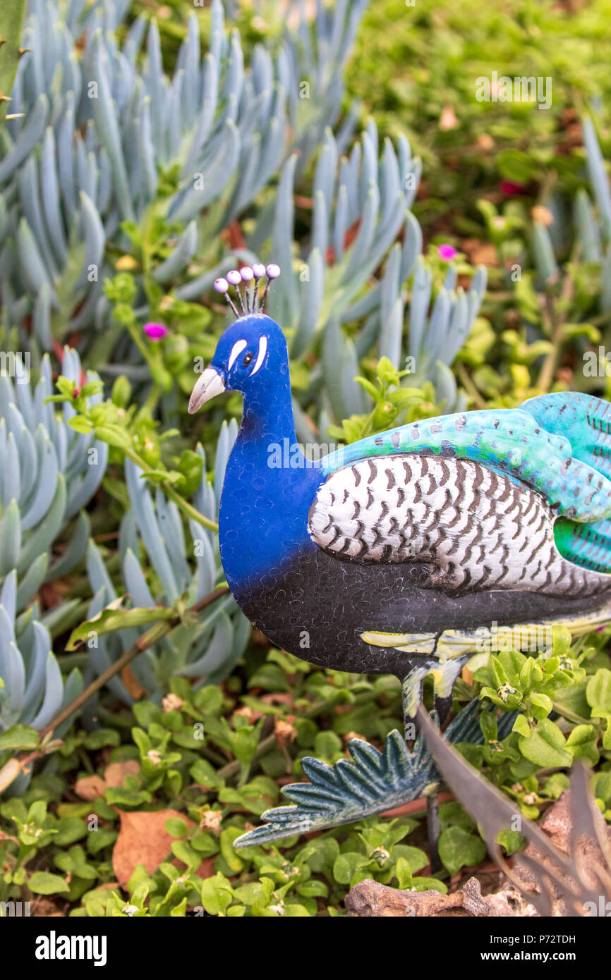 Whimsical Garden Art Decoration - Peacock or Peafowl, Male Stock Photo