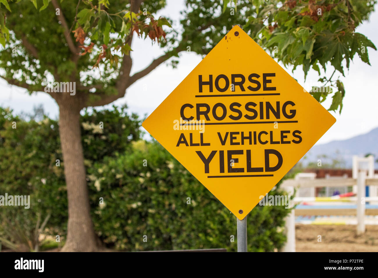 Yellow Diamond Horse Crossing Sign Stock Photo