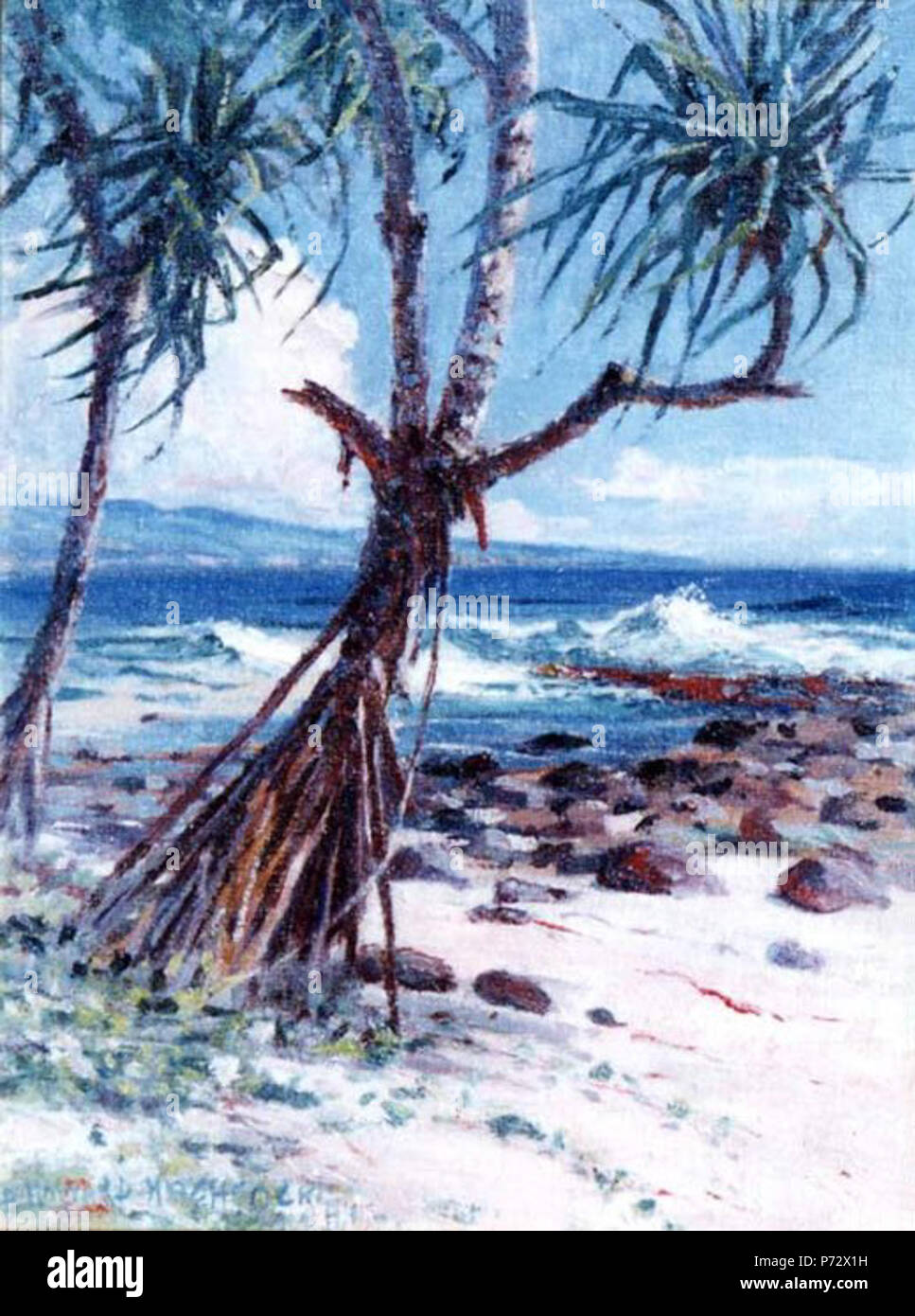 . Lauhala  N/A 1 'Lauhala' by D. Howard Hitchcock, oil on board, 16 x 12 inches Stock Photo