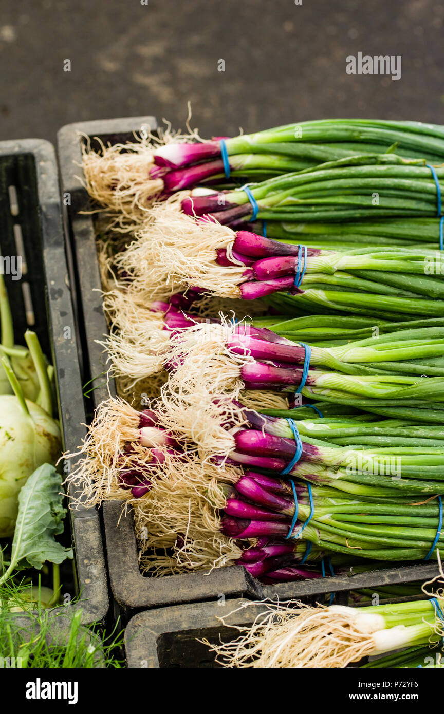Display of red onions in bunches at the market Stock Photo