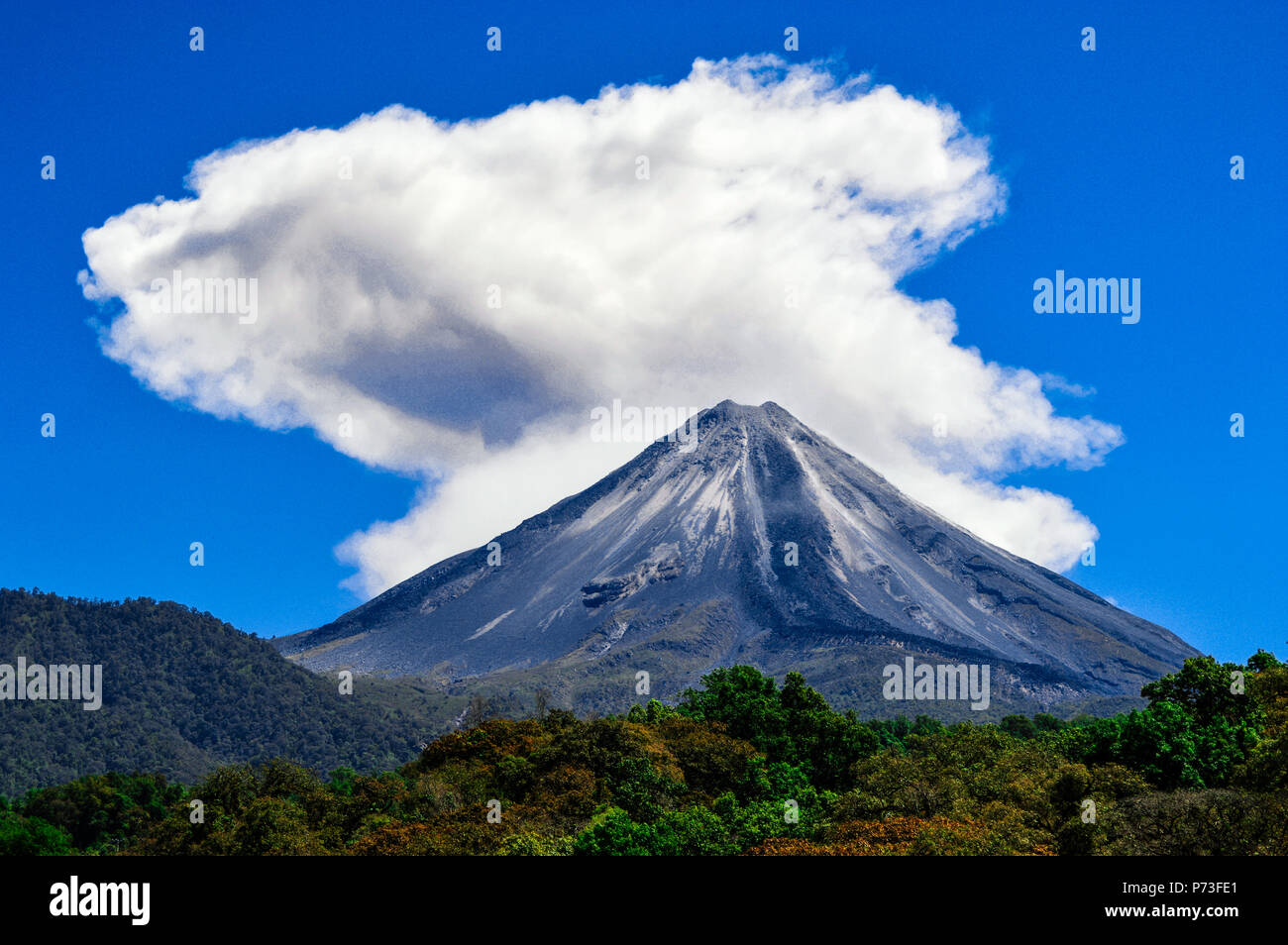 Photograph of the volcano of fire in the city of Colima, Mexico. It has a white cloud background that is the fumarole, below there are green trees. Stock Photo