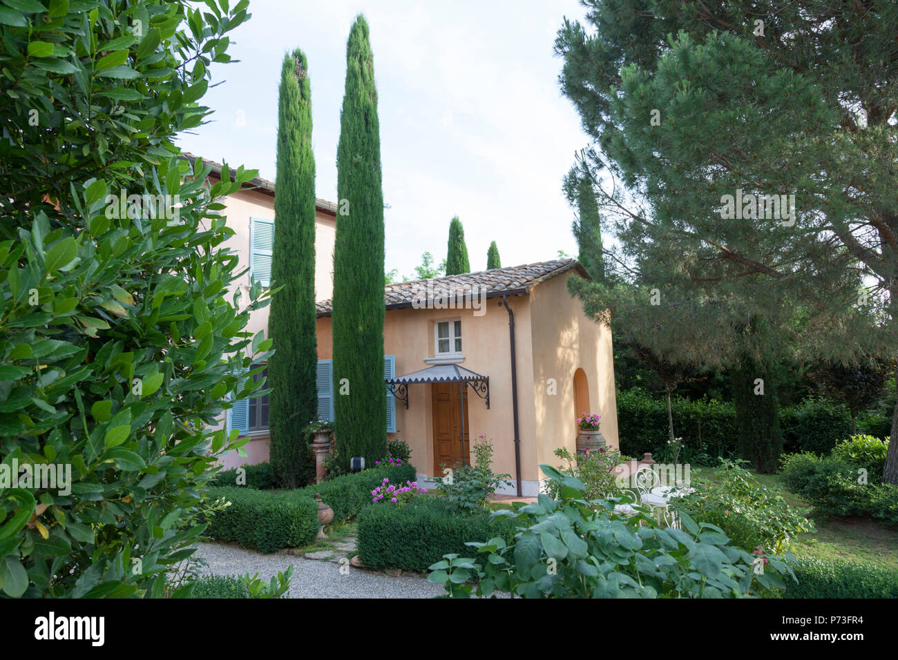 A pair of cypresses (Cupressus sempervirens) in a Tuscan property (Montepulciano - Tuscany). The cypress is a characteristic tree of Tuscany. Stock Photo