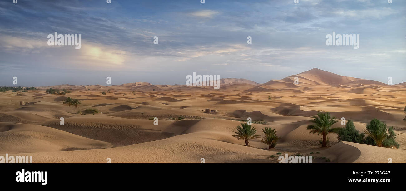 View of the Sahara desert in the rays of the setting sun. Stock Photo