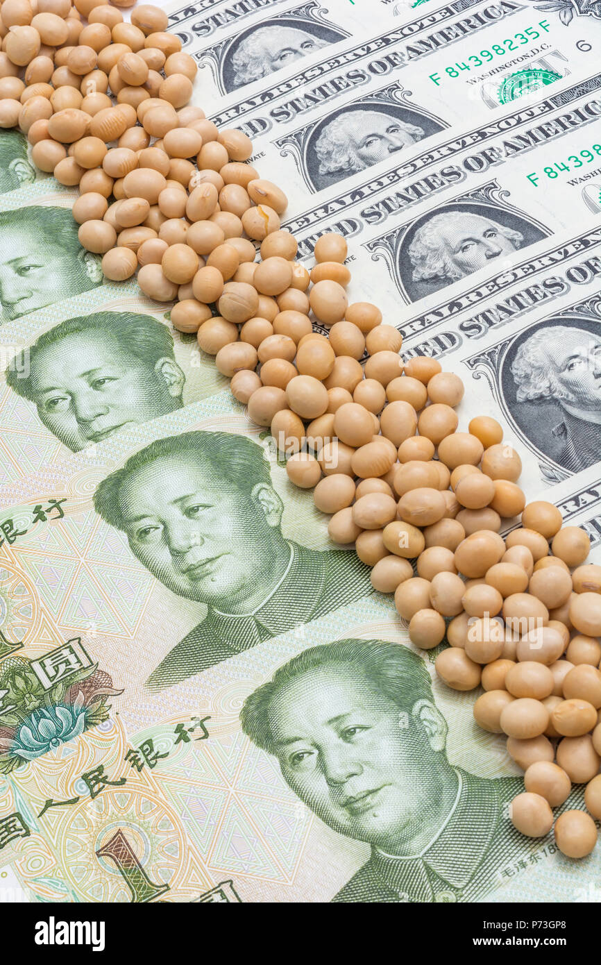 Chinese 1 Yuan & US 1 Dollar bills with dried soybeans - metaphor for US-China  trade war and Chinese tariffs on US soybean imports, trade war China Stock  Photo - Alamy