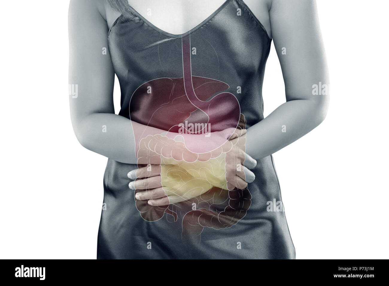 The photo of internal organs is on the women's body against gray background, Viscera on Human Stock Photo