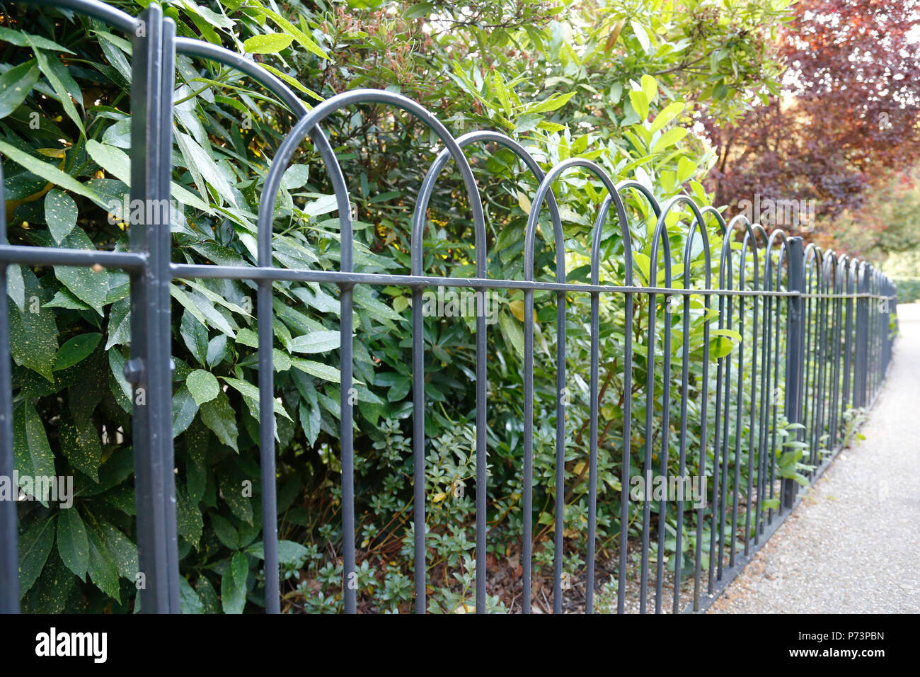 Closeup of hooped park railings Stock Photo - Alamy