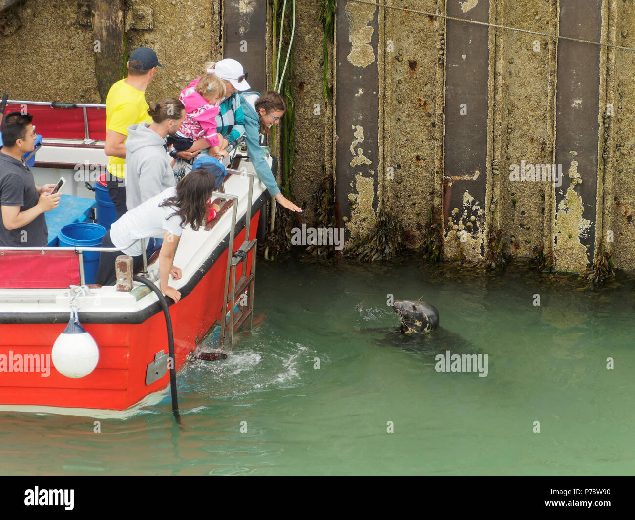 Newquay Harbour traditional tourist fun Stock Photo