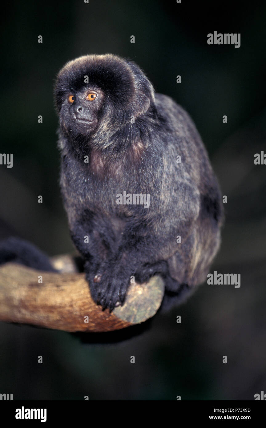 Geolds hi-res stock photography and images - Alamy